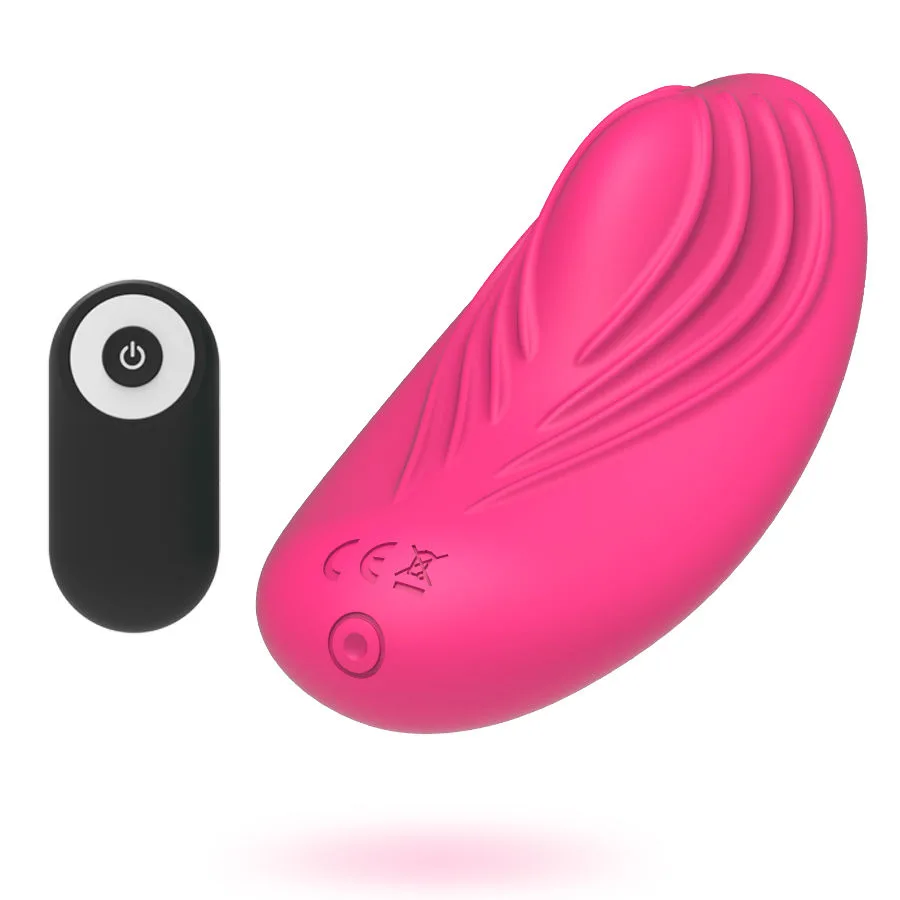 Panty vibe fernbedienung