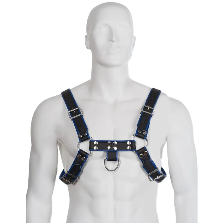 Harnais en cuir bleu et noir poitrine bulldog