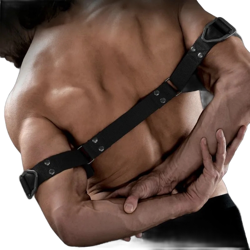 Sir richards - commandement biceps bender