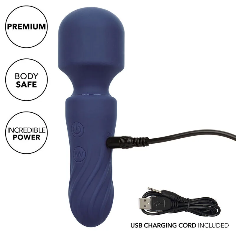 Charisma charm masseur 12 fonctions violet