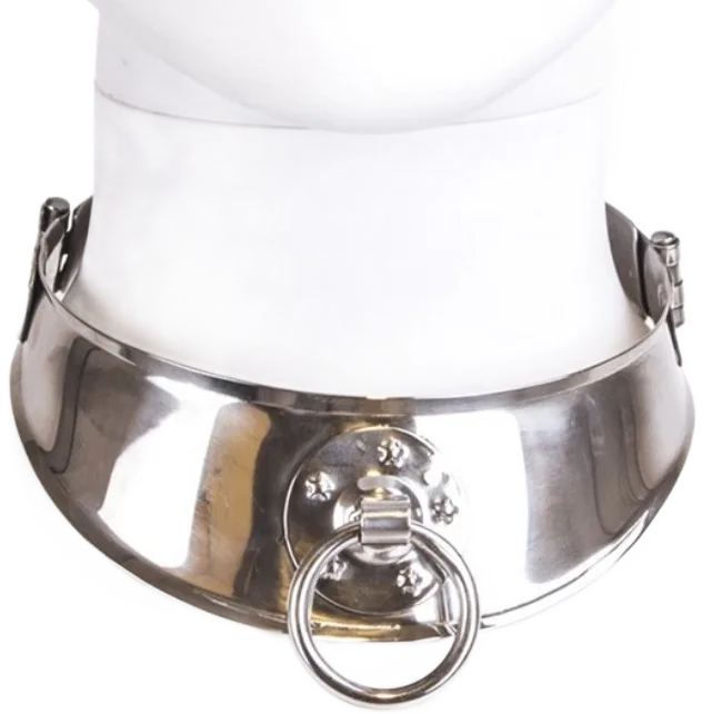 Collier de retenue en avec anneau