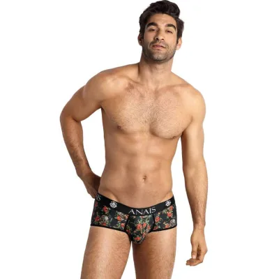 Anais men - power brief S