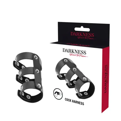 Darkness - anillo doble pene y testículos ajustable leather
