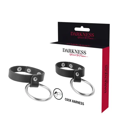 Darkness - anillo de metal para el pene y testículos