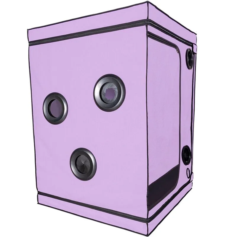 Kink club cabine scandale purple