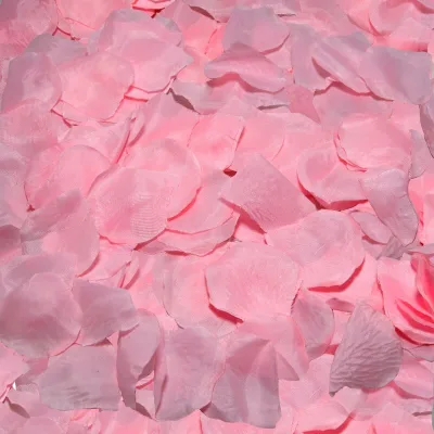 100 petali rosa