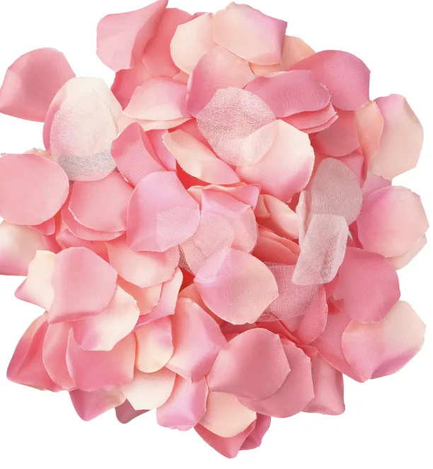 100 pétales roses