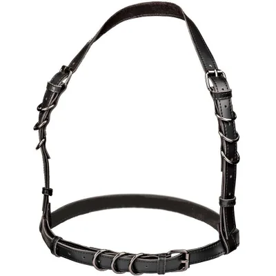 Euphoria harnais boucle licol taille plus noir