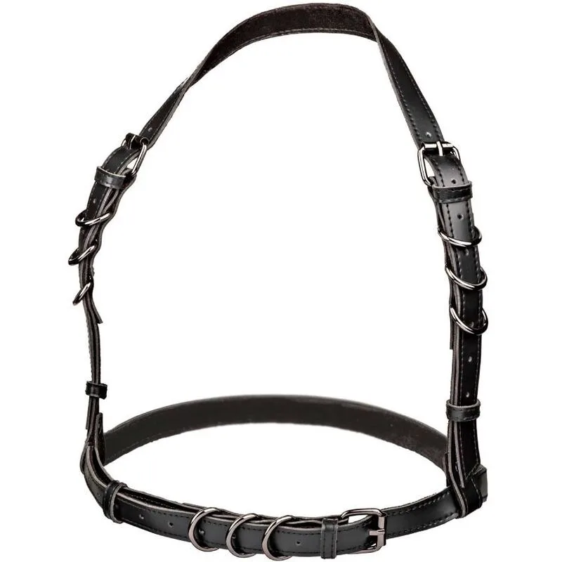 Euphoria harnais boucle licol taille plus noir
