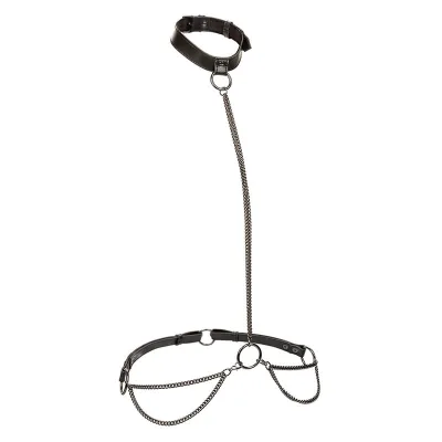 Euphoria chain halter collar & leash plus size