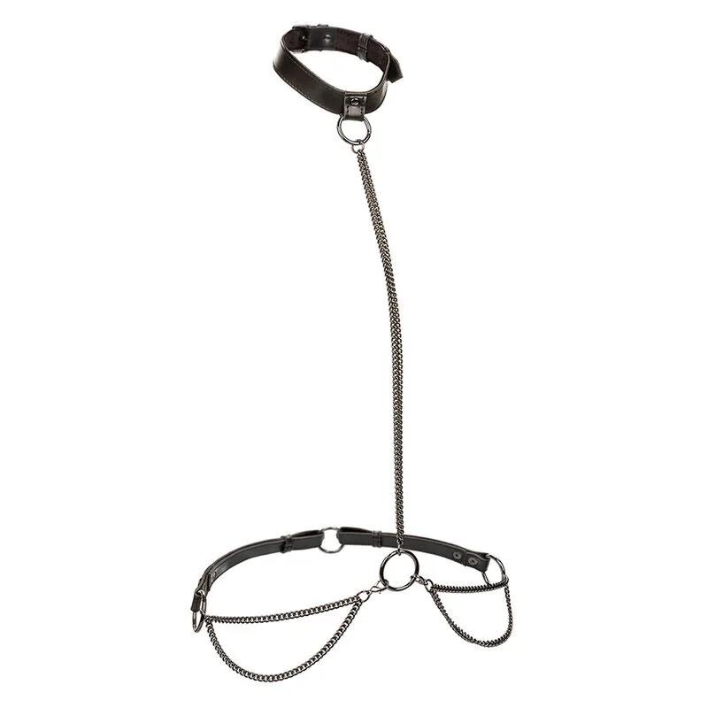 Euphoria collier licol et laisse grande taille