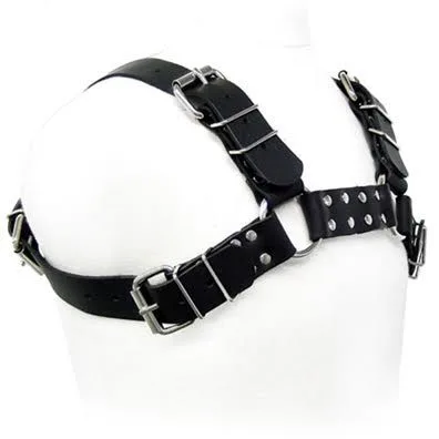 Harnais bull dog noir
