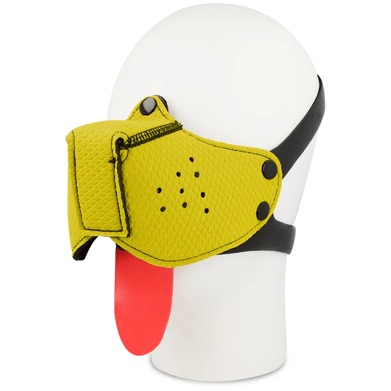 Bozal perro amarillo