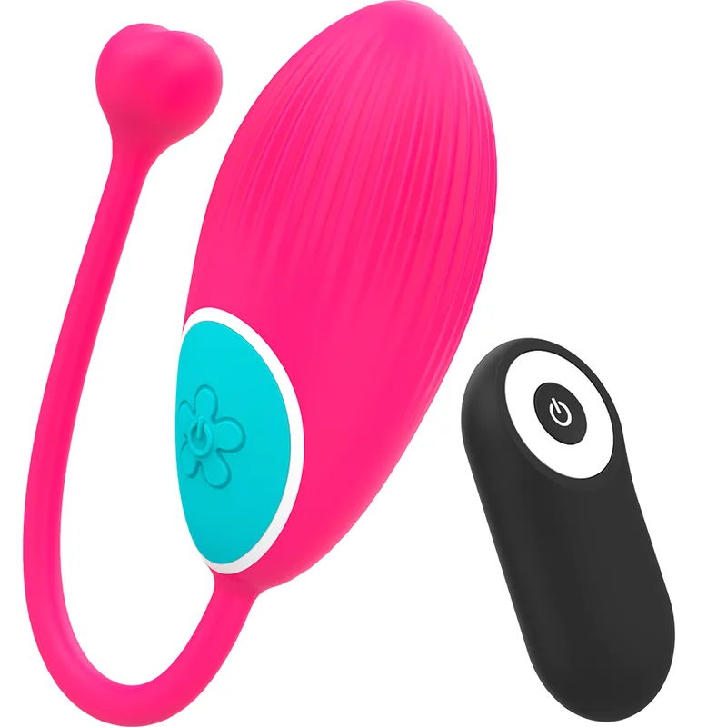 Télécommande ocian