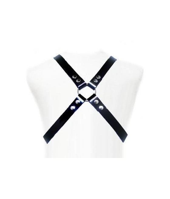 LEATHER BODY - BASIC HARNESS