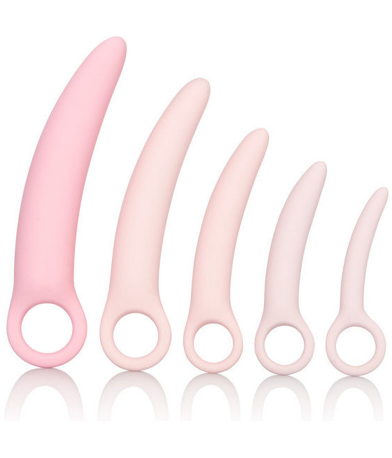 CALEXOTICS - INSPIRE...