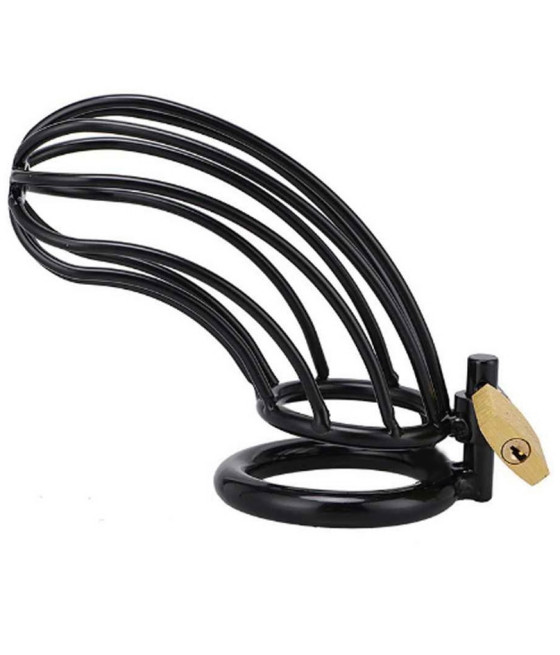 METAL HARD - BLACK BIRD...